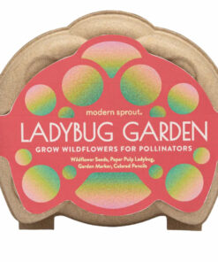 Curious Critter Ladybug Garden Kit