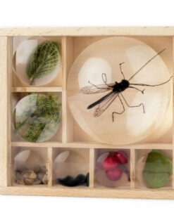 Huckleberry Bug Box