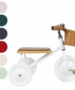 Kid's Modern Tricycle (Multiple Colors)