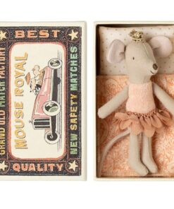 Little Sister Princess Mouse in a Matchbox