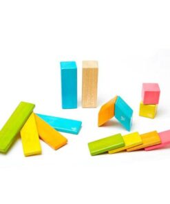 Magnetic Wooden Blocks - 14 Piece Set Tints