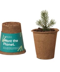 Modern Sprout One-For One Tree Kit