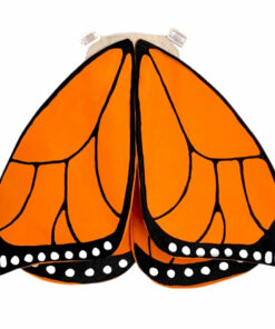 Monarch Butterfly Wings