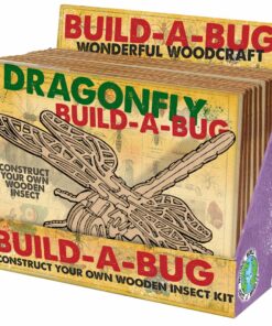 Wooden Build A Bug Kit